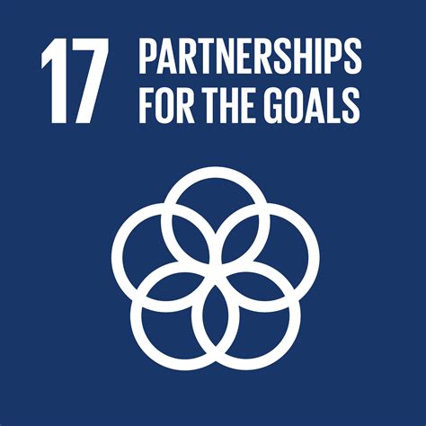 17.1 strengthen domestic resource mobilization, including through international support to developing countries, to improve domestic capacity for tax and other revenue collection. SDG 17: It's not about transactional partnerships ...