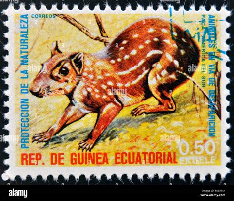 Equatorial Guinea Circa 1974 Stamp Printed In Guinea Dedicated To
