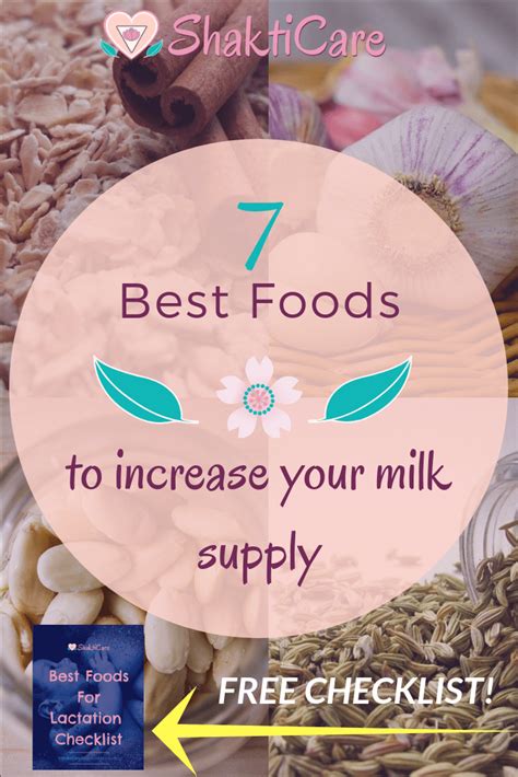 7 Best Foods To Increase Breast Milk Shakticare
