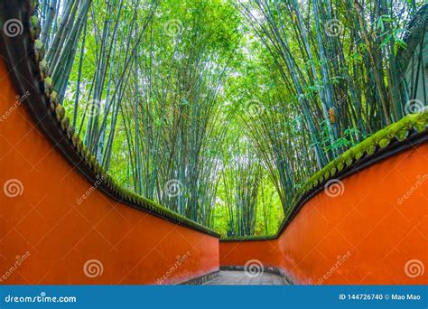 Passage Entre Les Murs Rouges Entours Par Des Bambous Chengdu