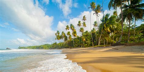 Forbes Incluye A Roatán Como Una De Las Mejores Playas Del Caribe El Pais