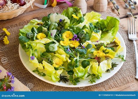 Salad With Lettuce And Wild Edible Plants Stock Photo Image Of