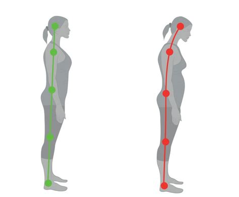 Super Easy And Simple Exercises That Will Improve Your Posture Women