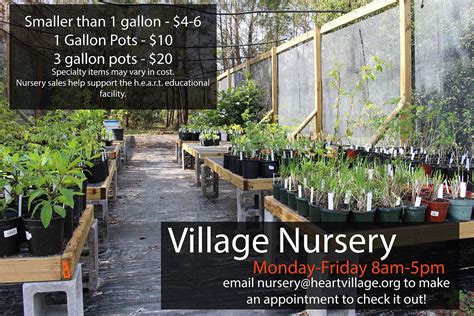 Village Nursery Heart Village Sustainability Training In Central