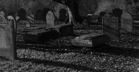 Sex In Cemeteries List Of People Having Sex In Graveyards