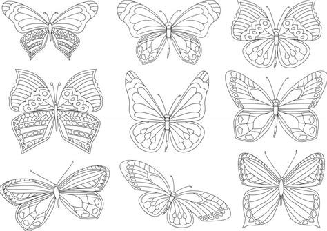 Kolorowanki Motylemotylki Pobierz I Wydrukuj Za Darmo Planeta Dziecka