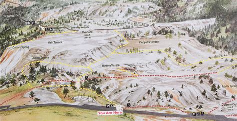 Mammoth Hot Springs A Guide To The Best Sights