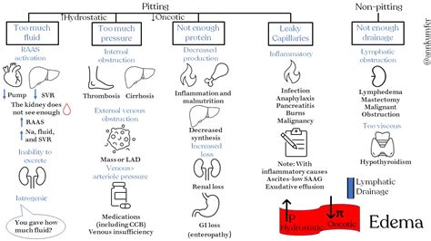 Causes Of Edema Differential Diagnosis Pitting Edema Grepmed