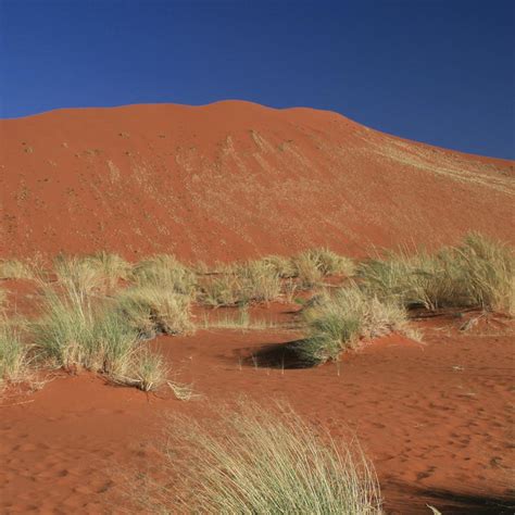 Il Parco Nazionale Di Namib Naukluft Exploring Africa