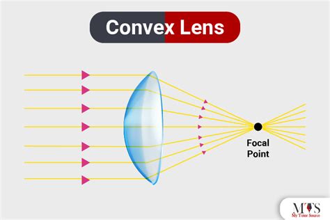Convex Lens Uses Functions And Types