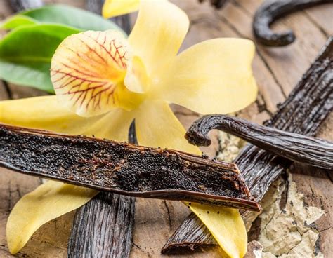 What Are The Health Benefits Of Vanilla Extract Livestrong