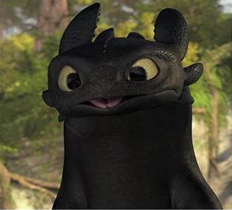 Train Your Dragon Toothless