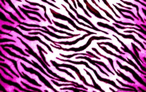 Pink Zebra Wallpapers Wallpaper Cave