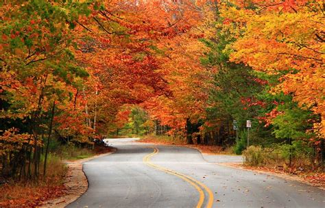 Best Ways To See The Fall Colors In Door County