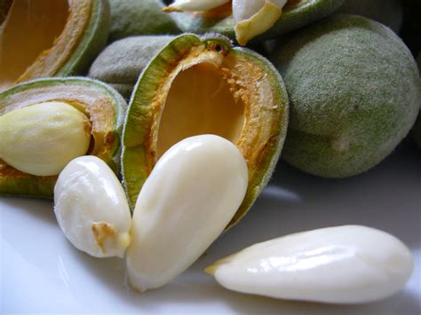 Fresh Green Almonds Amy Glazes Pommes Damour
