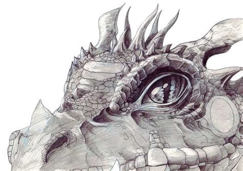 Realistic Dragon Sketches In Pencil