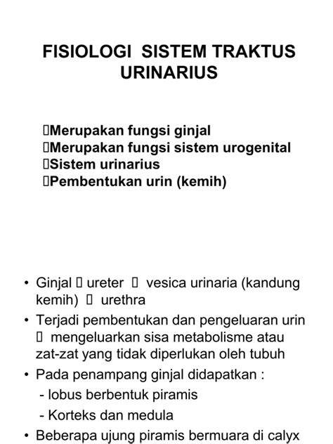 Penyakit sistem urinaria (suatu tinjauan diskusi mahasiswa). Fisiologi Pembentukan Urin