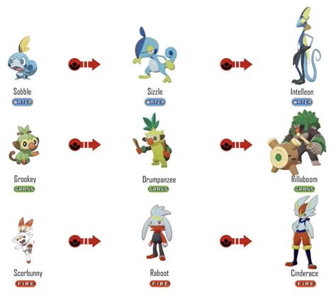 Pokemon Images Pokemon Gen 8 Starter Evolution Lines