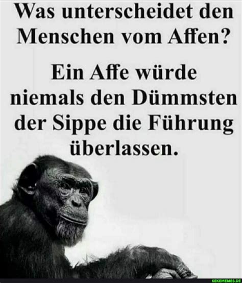 Was unterscheidet den Menschen vom Affen Ein Affe würde niemals den