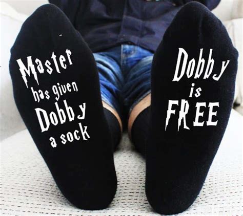 Master Has Given Dobby A Sock Shippn Blog