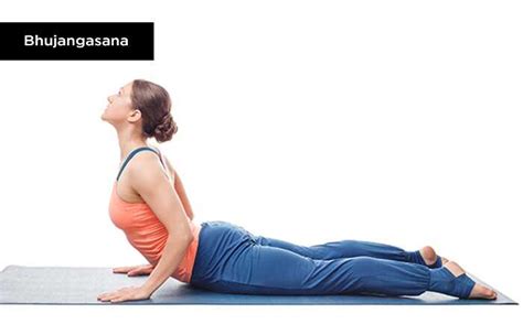 Las 26 Posiciones Bikram Yoga Una Guía Completa Paso A Paso Eshair