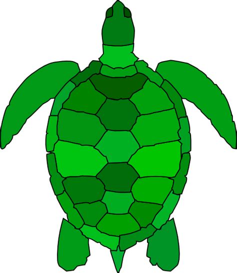 Turtles Green Clipart Turtle Animation Pictures On Cliparts Pub 2020 🔝