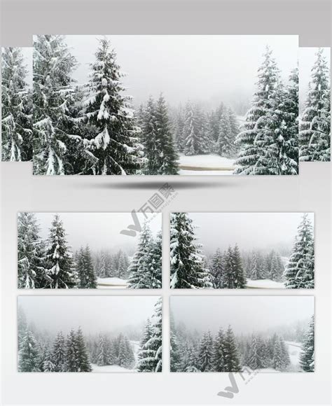 圣诞节冬季大雪纷飞的森林美景视频素材免费下载 万图聚视频素材网