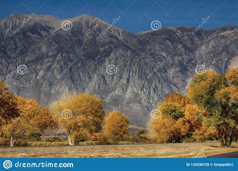 Fall Colorful Trees At The Foot Of The Mountains In California Stock