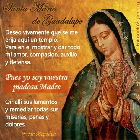 Total Imagen Frases De Felicitacion A La Virgen De Guadalupe