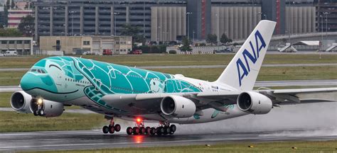 All Nippon Airways Recibe Su Segundo Airbus A380 Con Livery Flying Honu