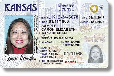 You can check by looking for a gold star on your license. Real ID: what Americans should expect - CSMonitor.com