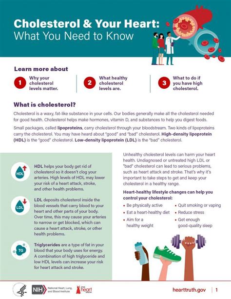 Cholesterol And Your Heart What You Need To Know Fact Sheet Nhlbi Nih