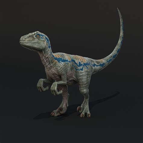 Realistic Velociraptor Rigged Raptor 3d Max Blue Jurassic World Jurassic World T Rex