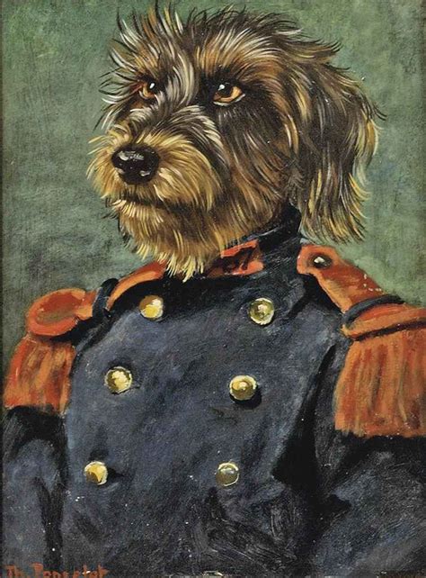 Thierry Poncelet Belgian B Dog Portraits Animal Portraits Art