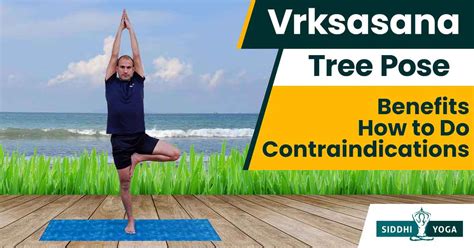 Vrksasana Or Tree Pose Meaning Benefits And How To Do