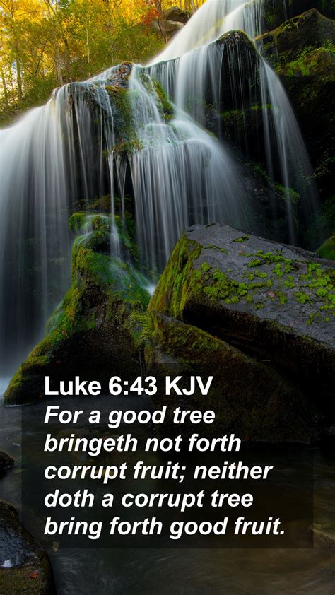 Luke 643 Kjv Mobile Phone Wallpaper For A Good Tree Bringeth Not