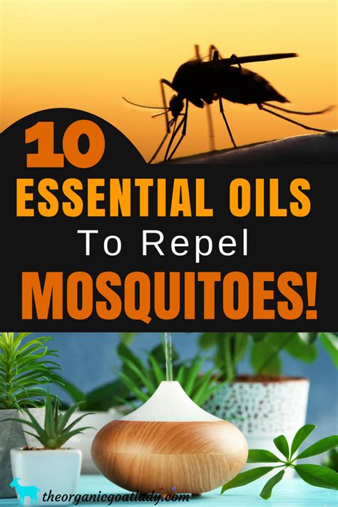 Essential Oils For Mosquitoes Change Comin