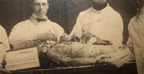 Medical Students With A Cadaver Image Collectors Weekly