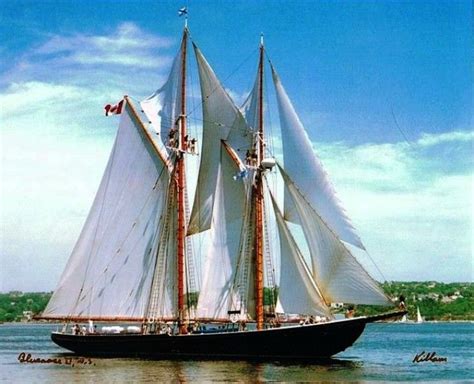 The Bluenose Ii Sailing Yacht Sailing Bluenose Schooner