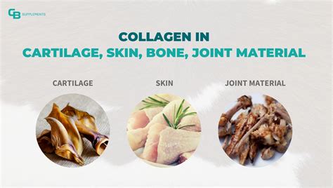 What Foods Contain Collagen There Are Only 4 Sources