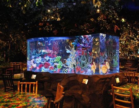 Rainforest Cafe Yeah I Work Here Previous Pinner Kids Love To