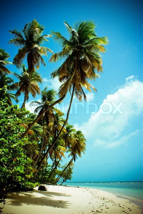 Landscape Scenery Of A Beautiful Tropical Island With