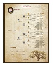 Family Tree Posters | Family tree poster, Family tree designs, Adoptive family tree