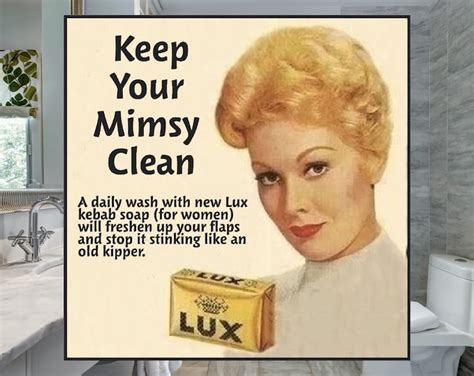 Keep Your Mimsy Clean Funny Vintage Advertising Magnet Etsy
