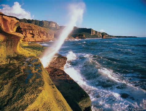 The latest new zealand news headlines. West Coast | New Zealand Travel