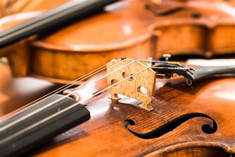 Top 60 Viola Musical Instrument Stock Photos Pictures And Images Istock