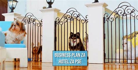 Kako Napisati Poslovni Plan O Pokretanju Hotela Za Pse Pet Portal My