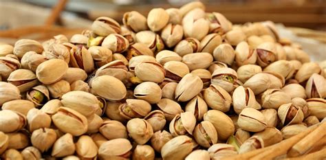 Check spelling or type a new query. PISTACHIO - RONIKA HERBS