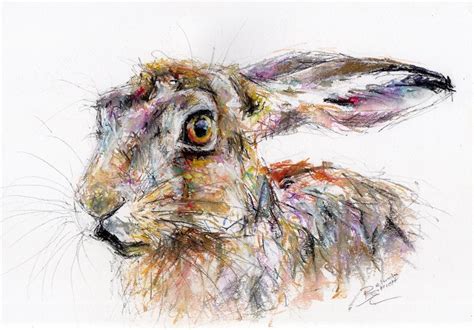 Original A4 Pastel Drawing Of A Hare Animal Art By Belinda Elliott