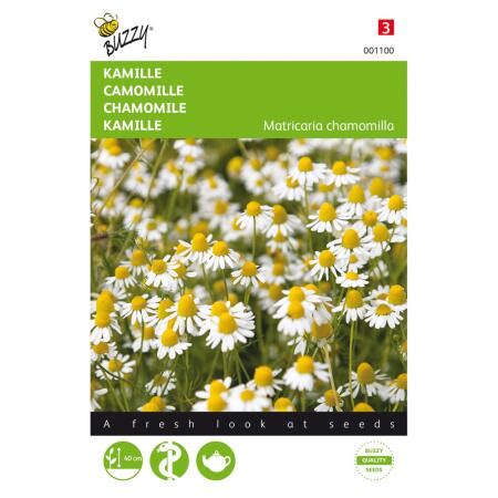 Kamille Matricaria Chamomilla Webshop Tuinadvies